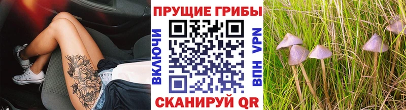 что такое наркотик  Котово  Псилоцибиновые грибы мухоморы 